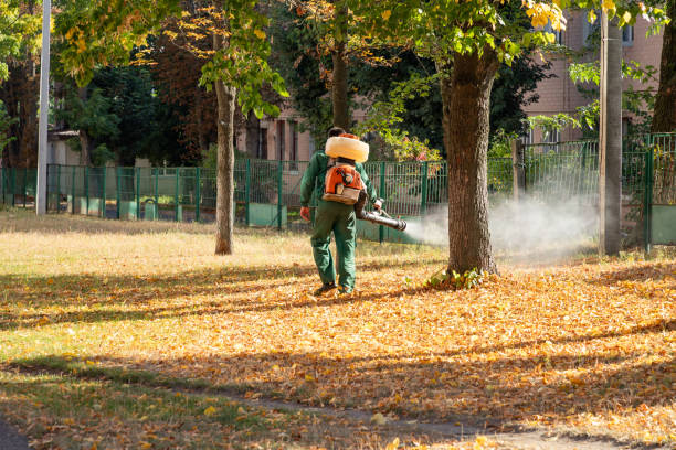 Pest Control for Restaurants in Fremont, NE