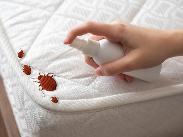 Reliable Fremont, NE Pest Control Solutions