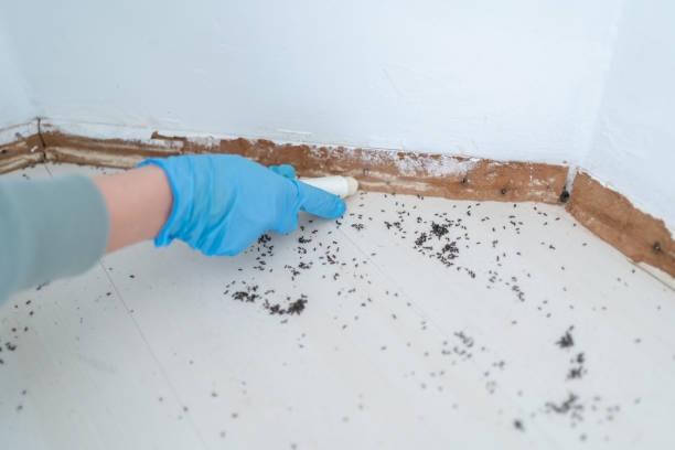 Best Residential Pest Control  in Fremont, NE